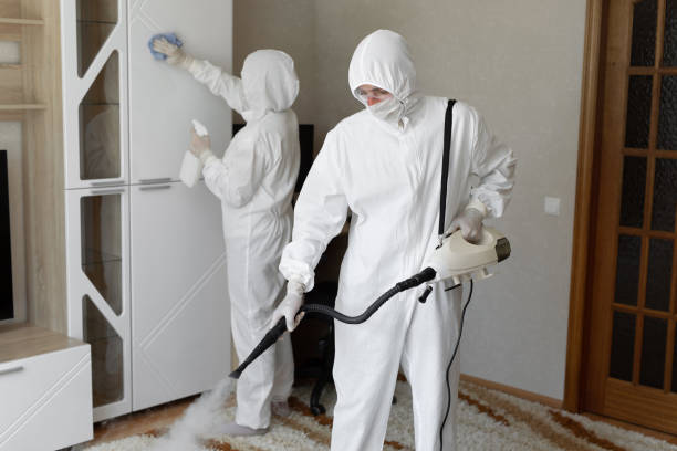 Best White Mold Remediation in Masury, OH